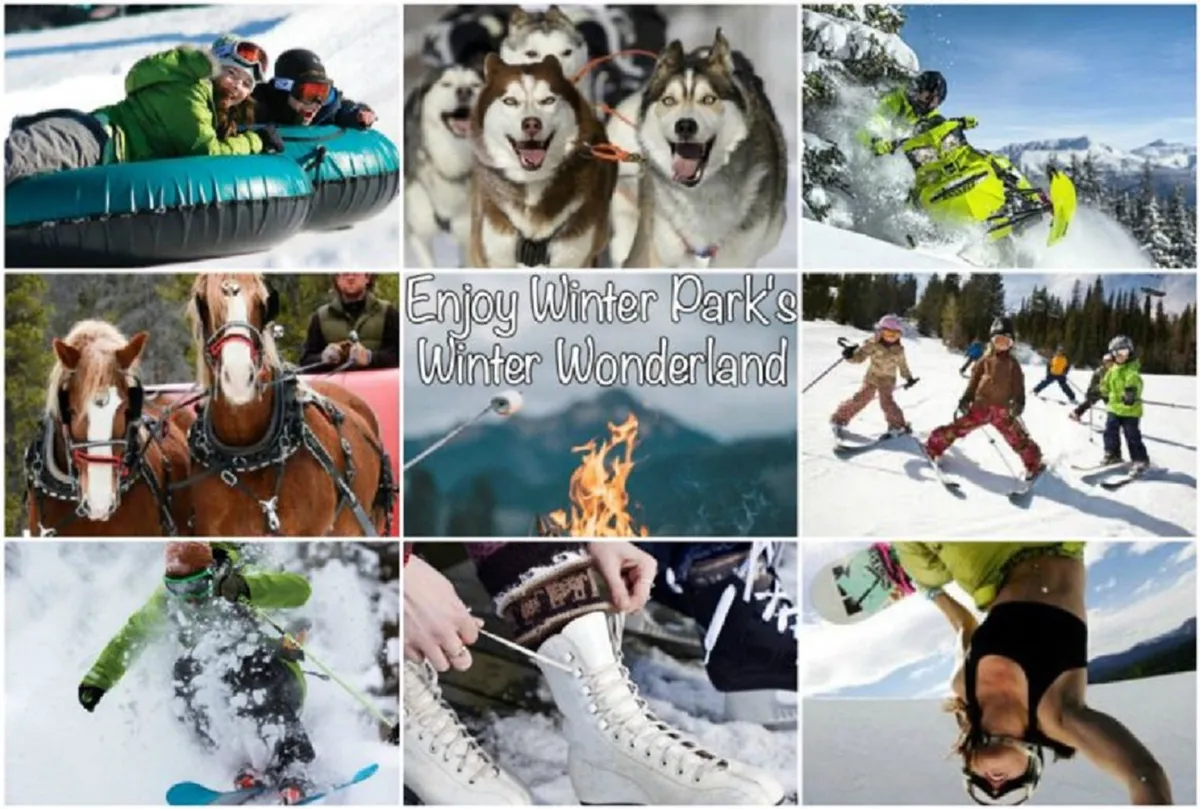An action-packed composite displaying families and friends enjoying winter activities such as tubing, dog sledding with huskies, snowmobiling, skiing, snowboarding, and ice skating. The backdrop is snowy and festive, suggesting an atmosphere of excitement and bonding.